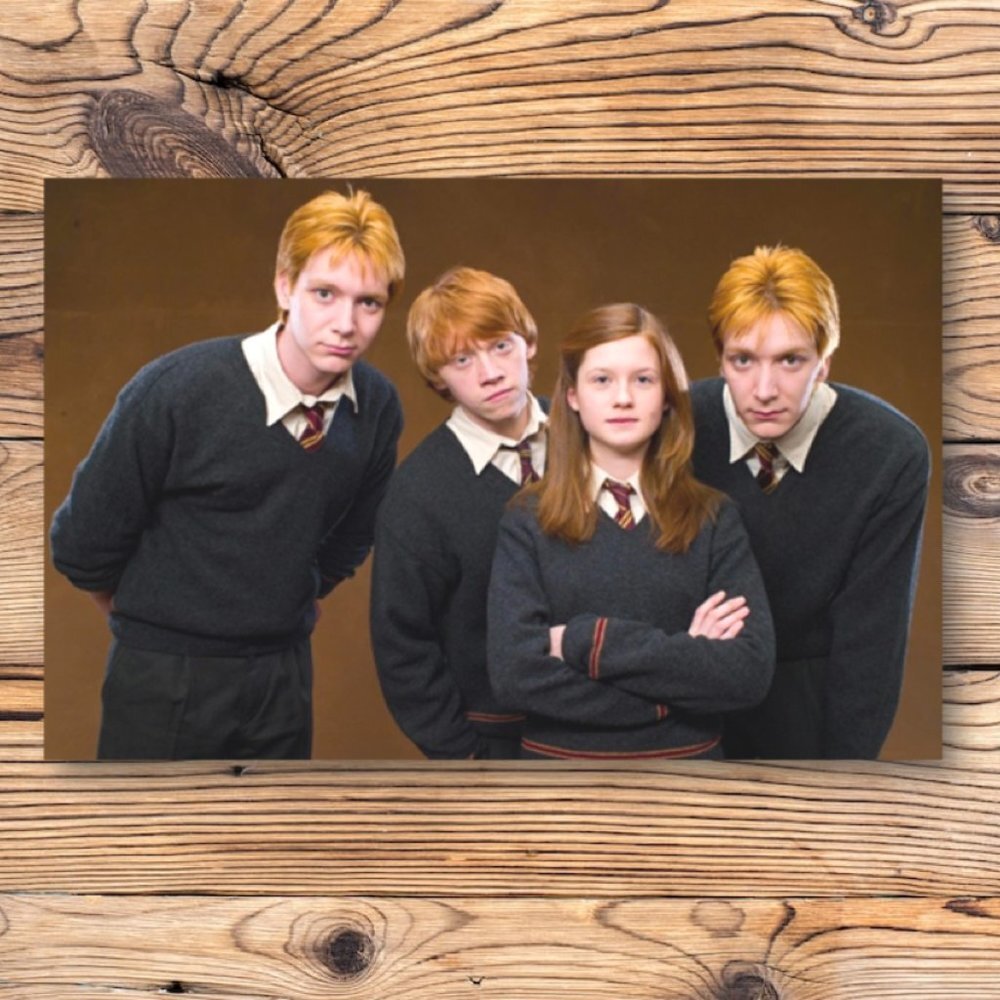 Harry Potter Weasley Family Ron Ginny Fred George Refrigerator Locker Magnet